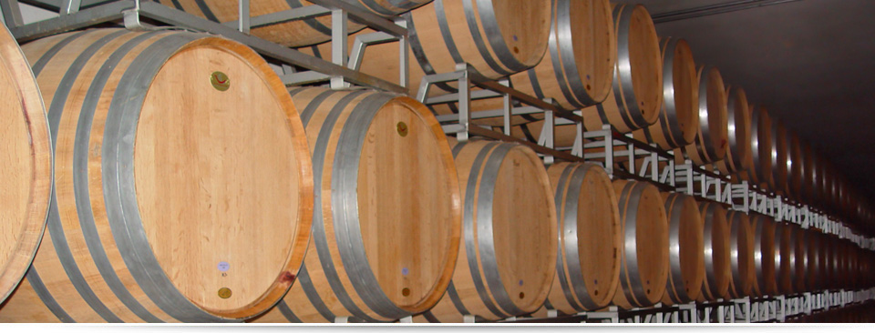 wine berrels in winery